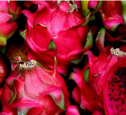 Red Flesh Dragon Fruit